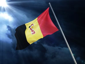 乒乓球赛场焦点！日本队对阵比利时队，战况跌宕起伏，悬念直到终场